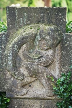 250d.jpg